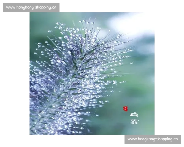 白露时节万物凝霜秋意渐浓丰收在望人间最美是清凉